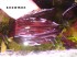 DSC00923(!).JPG