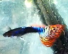 IMAG0203.jpg