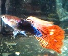 IMAG0208.jpg