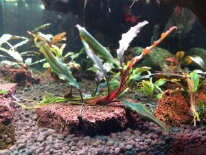 IMG_1026.JPG