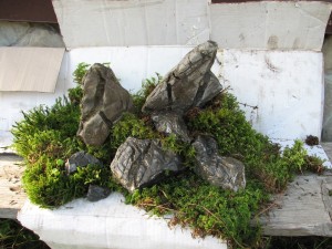 IMG_2038.JPG