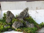 IMG_2041.JPG