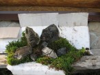 IMG_2043.JPG