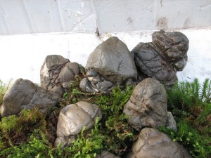 IMG_2052.JPG