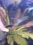 copy_625_DSC00915.jpg