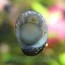 copy_728_Teo-3.jpeg