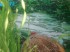copy_818_101.jpg