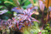 copy_853_DSC_0007.jpg