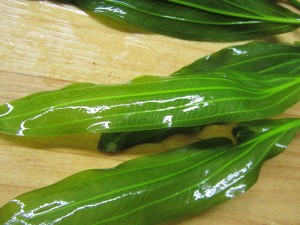 Изображение 1662.jpg