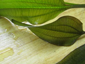 Изображение 1752.jpg