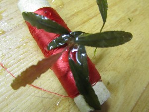 Изображение 1765.jpg