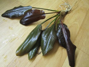 Изображение 1787.jpg