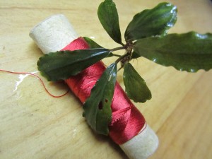 Изображение 1818.jpg