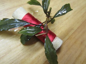 Изображение 1819.jpg