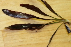 Изображение 1874.jpg