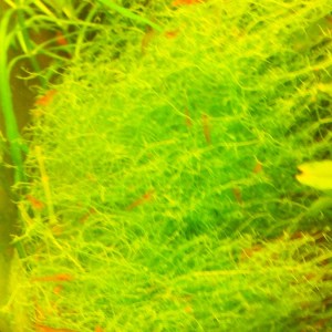 2014-11-05 16.19.30.jpg