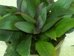 20140613_164605.jpg