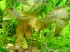 DSC01276.JPG