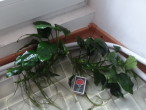 DSC02521.JPG