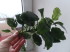 DSC02524.JPG