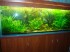 DSC04202.JPG