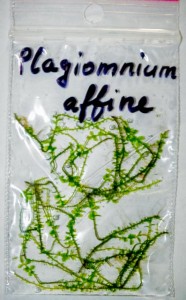 DSCF2157.jpg