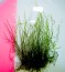 DSCF2164.jpg