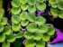 DSCF2171.jpg