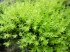 DSCN1411.JPG
