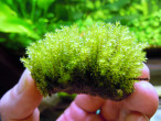 DSCN1511.JPG