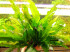 DSCN3082.JPG