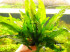 DSCN3084.JPG