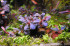 DSC_0005.JPG