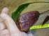 IMG_2429.gif