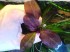 copy_350_DSC01182.jpg