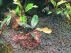 copy_417_IMG_1027.jpg