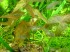 copy_842_copy_885_copy_333_copy_457_DSC01274.jpg