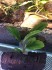 copy_904_IMG_1259.jpg