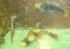 copy_941_copy_440_DSC00935.jpg