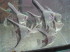 user10371_pic168669_1389300661.jpg