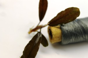 Изображение 2002.jpg