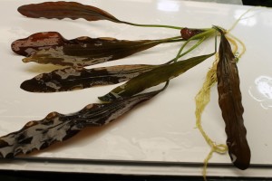 Изображение 2027.jpg