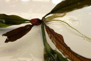 Изображение 2030.jpg