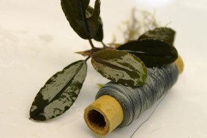 Изображение 2101.jpg