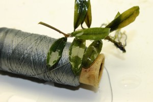 Изображение 2195.jpg