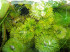 100_2387.JPG