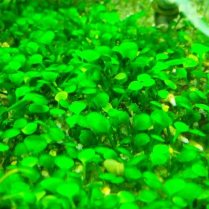 2014-12-21 16.14.54.jpg