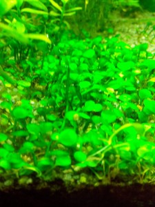 2014-12-21 16.15.25.jpg