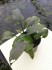 20140207_153749.jpg