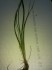 20141219_152217.jpg